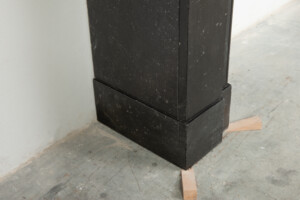 Kleine Gevlekte Console Schouw